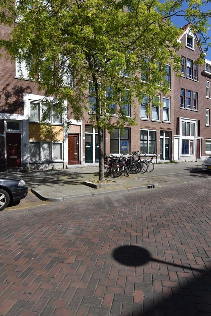 Benedenwoning met tuin aan de Putsebocht - Afbeelding 1