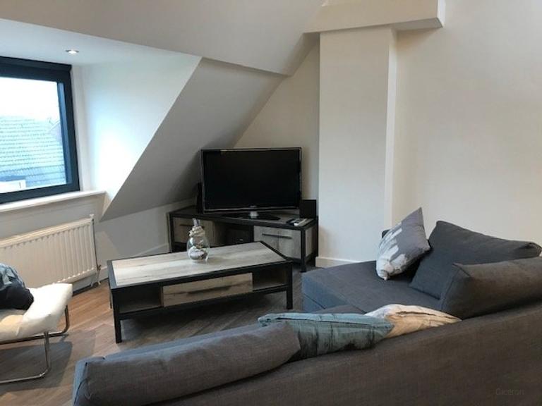 Furnished studio with mezzanine in Eindhoven - Image 3