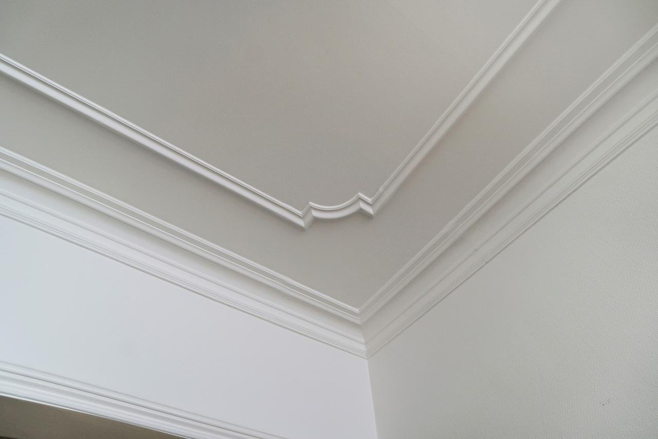 118 m² wonen met balkon in hartje Den Haag - Afbeelding 9