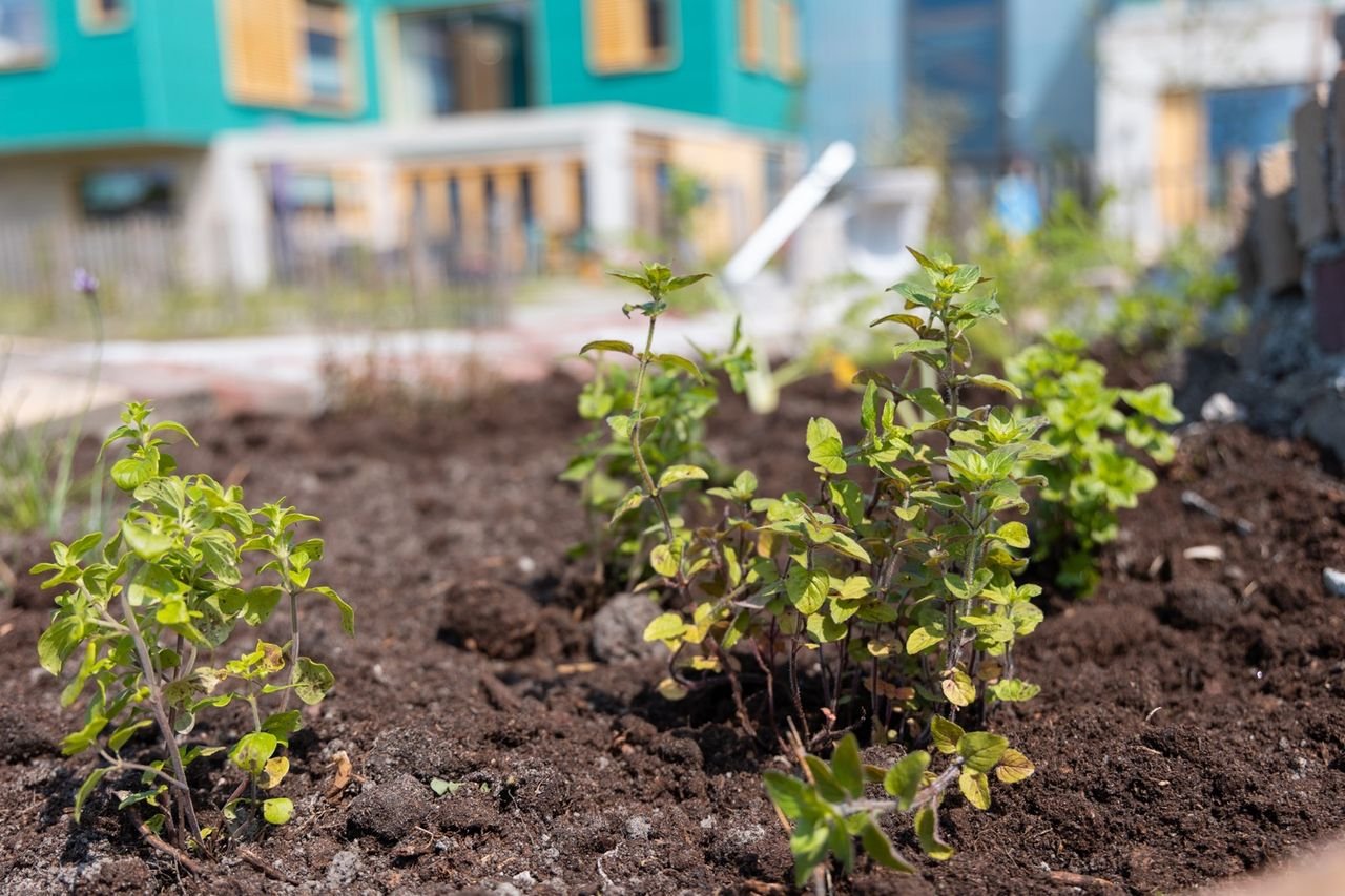 Luxury all-inclusive apartment in Avenhorn - Image 30