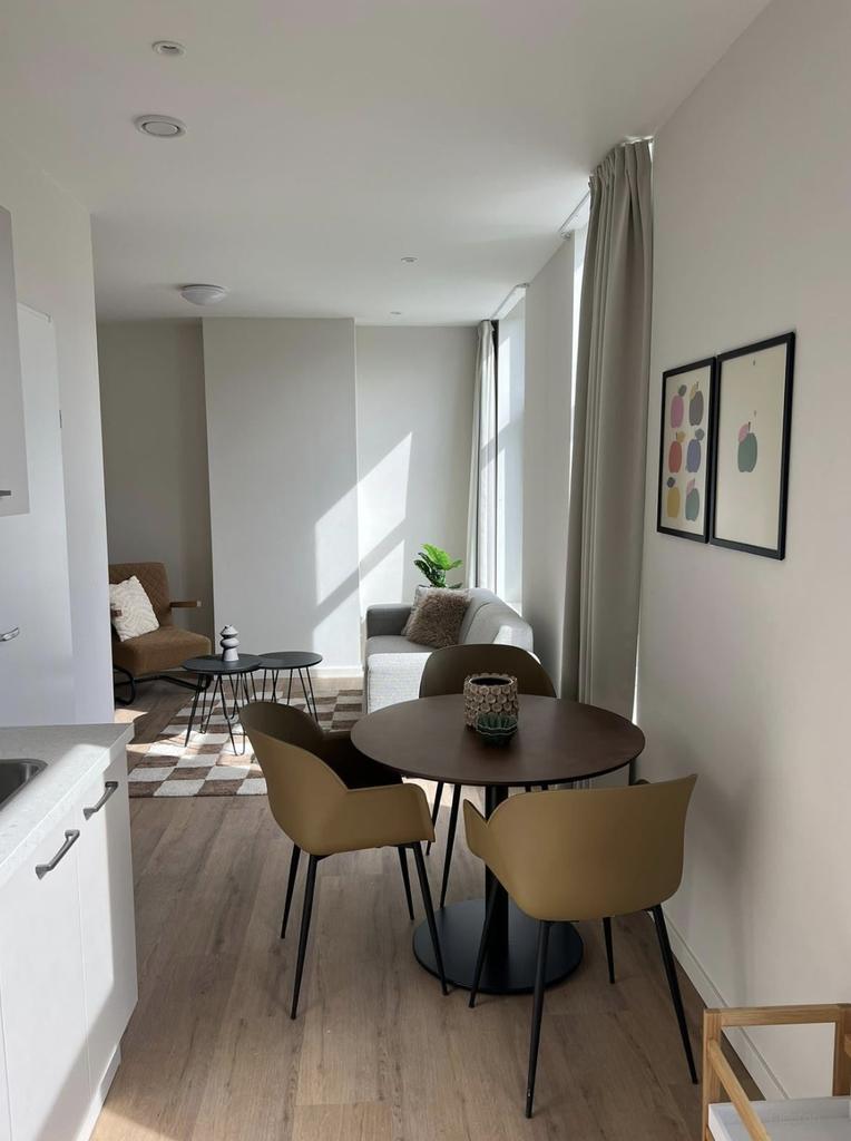 Gemeubileerd appartement in Oud Crooswijk - Afbeelding 3