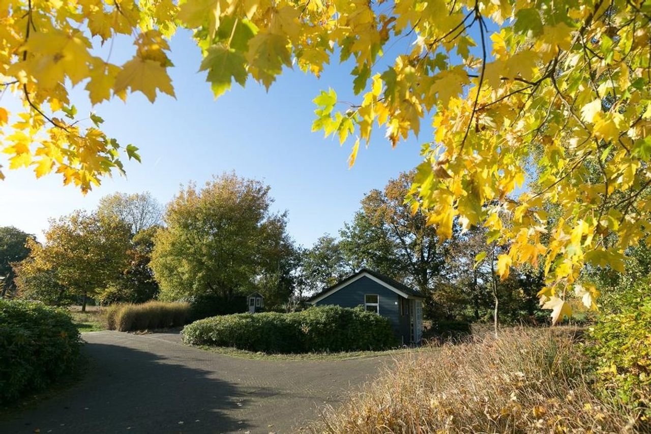 Detached villa with large garden - Image 22