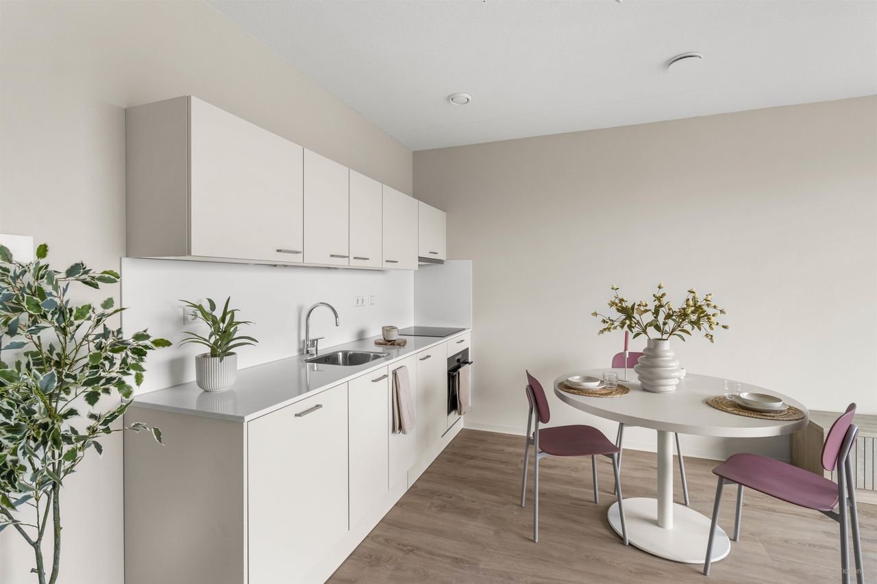 Energy-efficient apartment in Southeast - Image 3