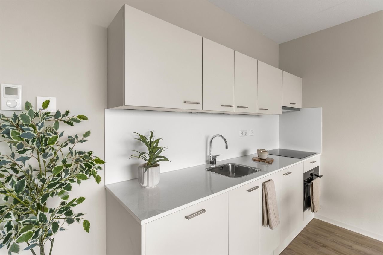 Energy-efficient apartment in Southeast - Image 4