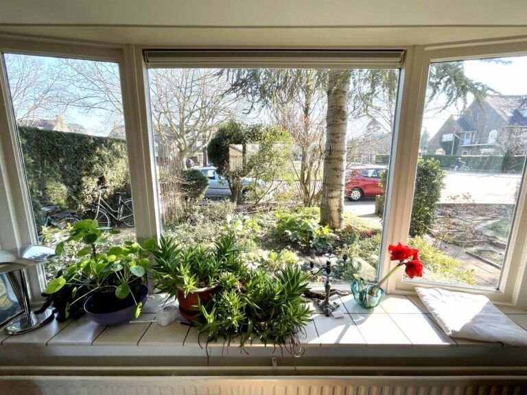 Gemeubileerd jaren '50 huis met zonnige tuin - Afbeelding 5