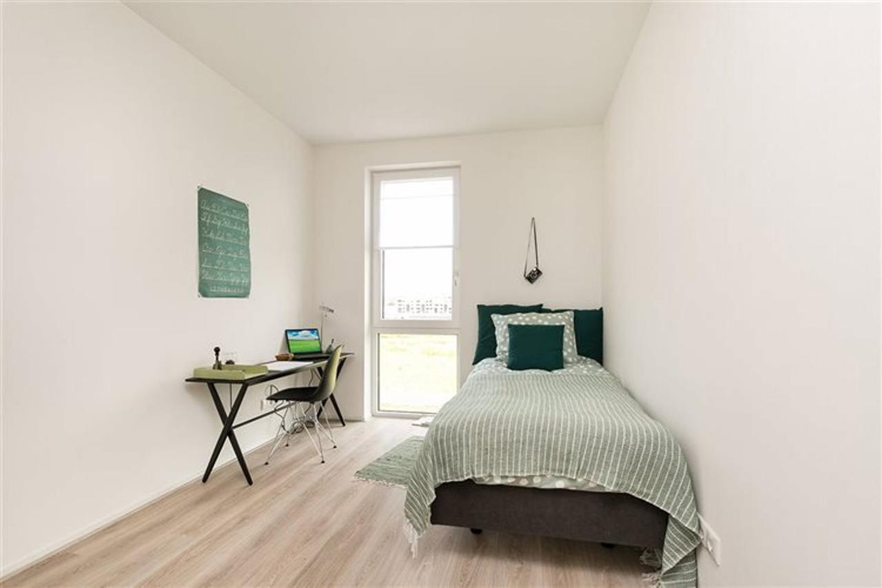 2-bedroom apartment on the Rhine with balcony - Image 15