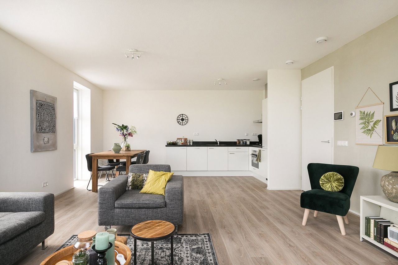 Living on the 9th floor along the Rhine - Image 8