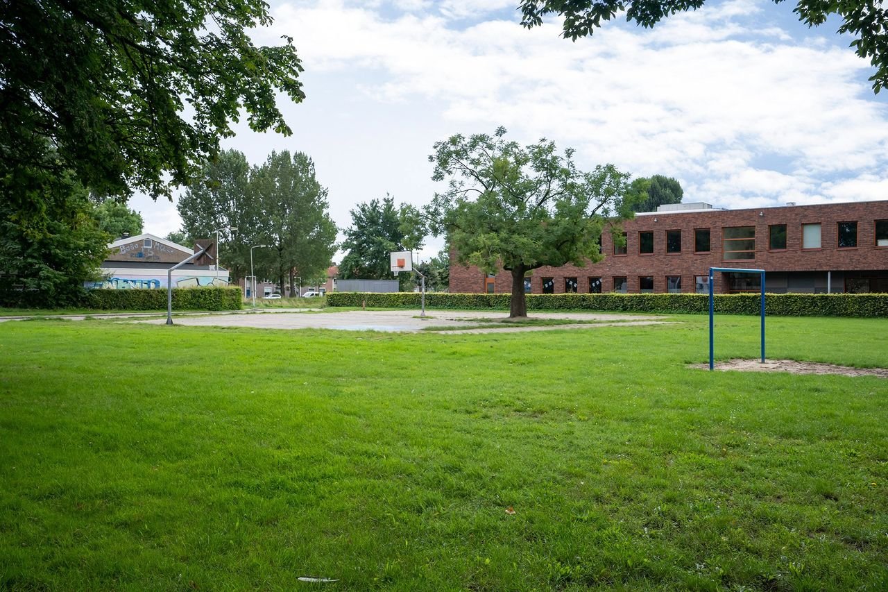 Living on the 9th floor along the Rhine - Image 19