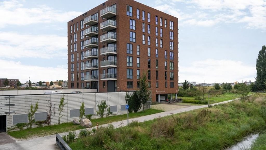 Living on the 9th floor along the Rhine - Image 2