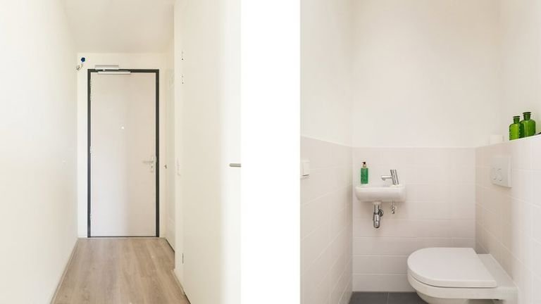 Living on the 9th floor along the Rhine - Image 4