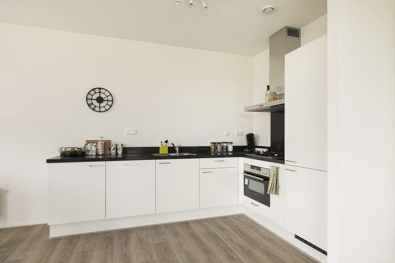 Living on the 9th floor along the Rhine - Image 10