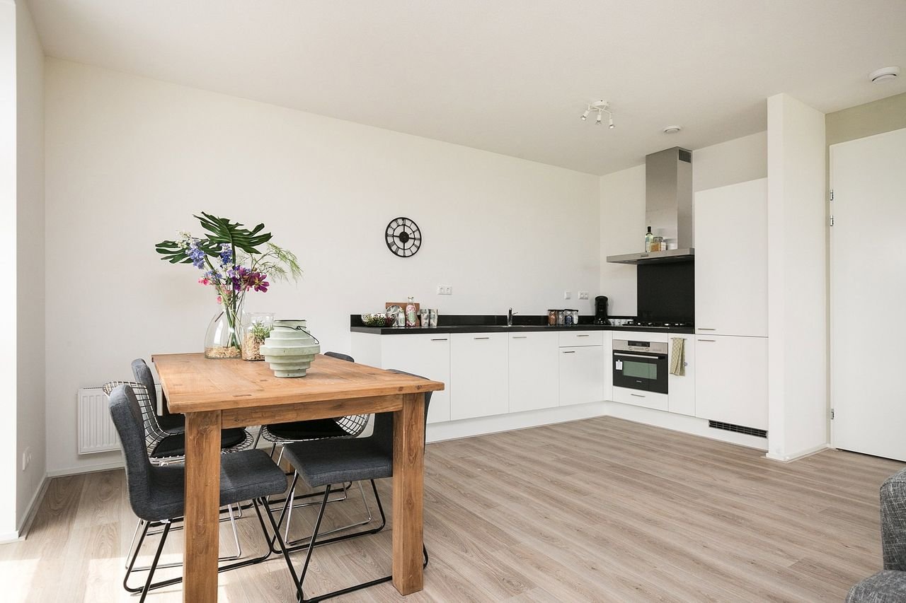 Living on the 9th floor along the Rhine - Image 9