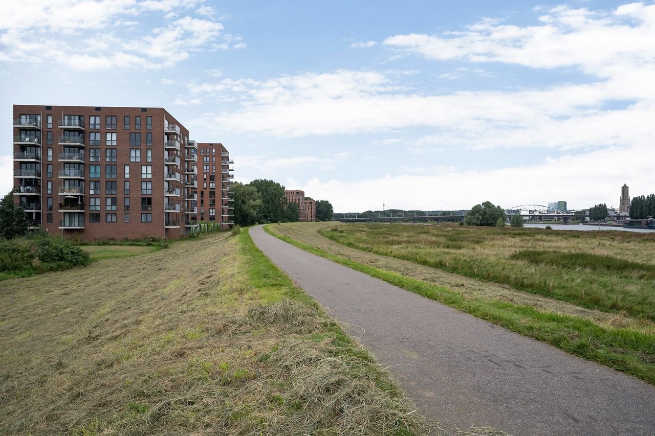 Living on the 9th floor along the Rhine - Image 17