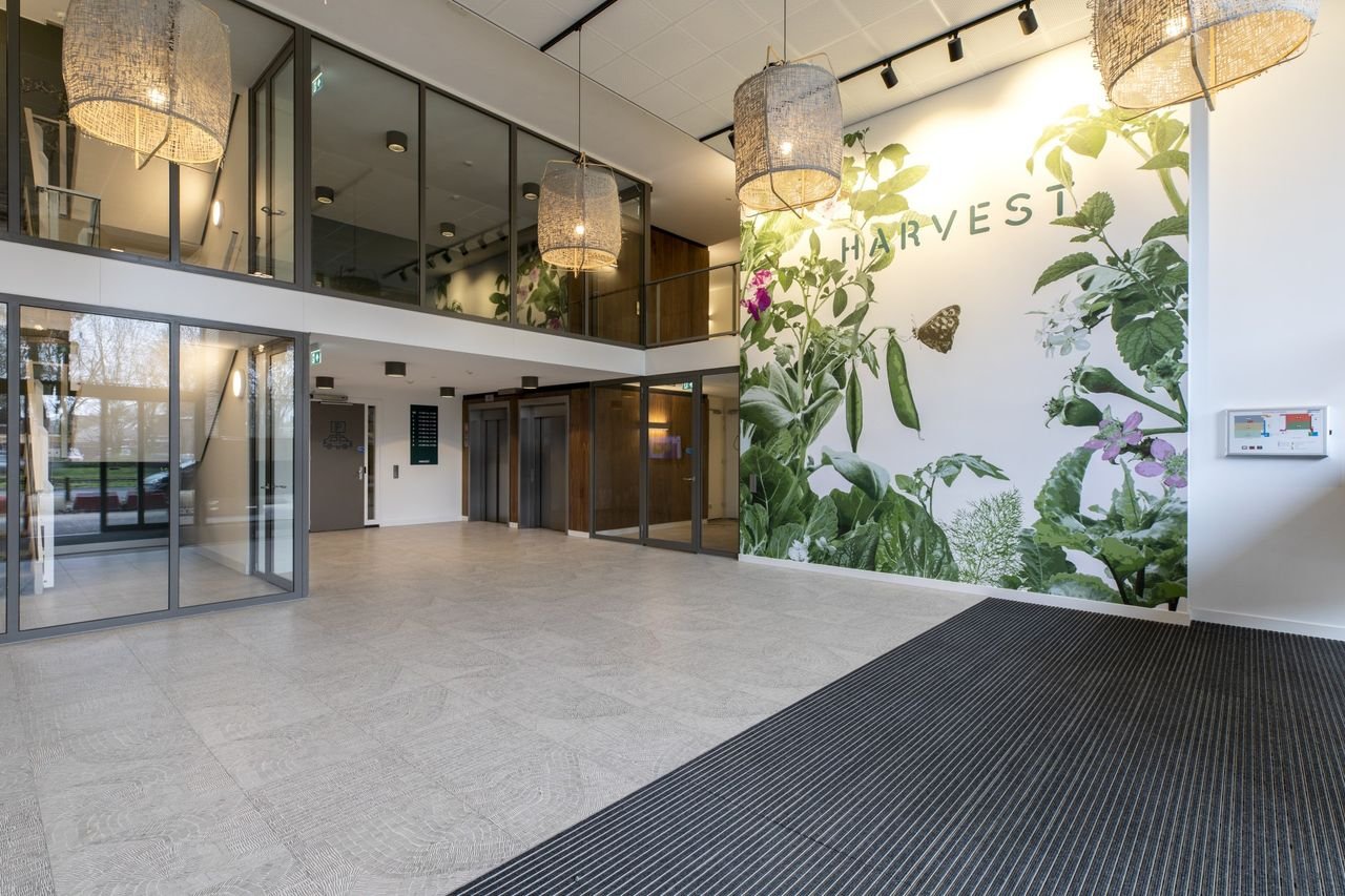 Appartement met gezamenlijke tuin - Afbeelding 3