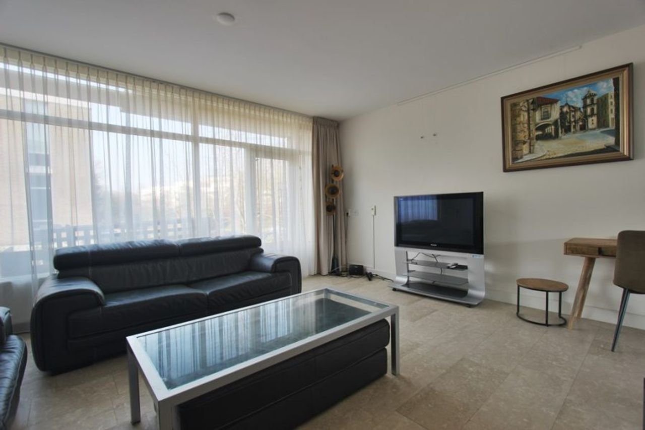 Royaal drive-in huis met 4 balkons en parking - Afbeelding 2