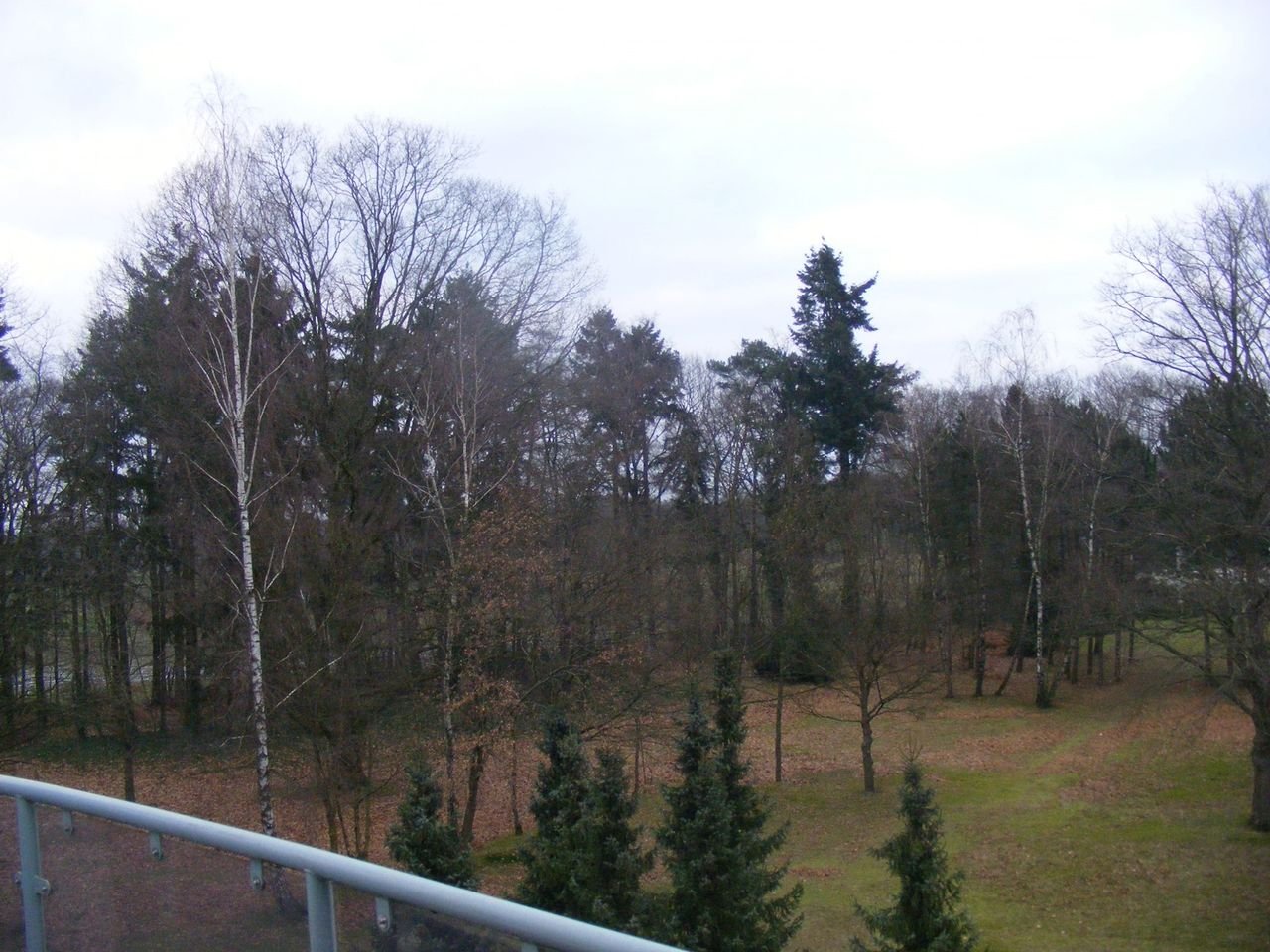 Gemeubileerd appartement in het bos - Afbeelding 17