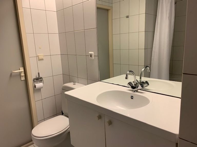 Furnished apartment in the woods of Boekelo - Image 10