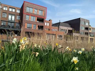 103m² Rooftop Terrace in Waterrijk