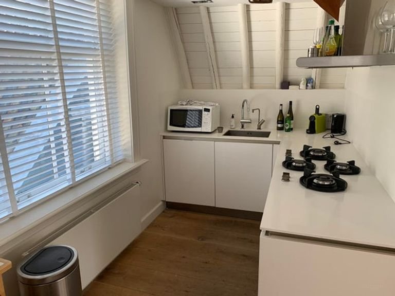 Living with a view of the Nieuwe Rijn - Image 12