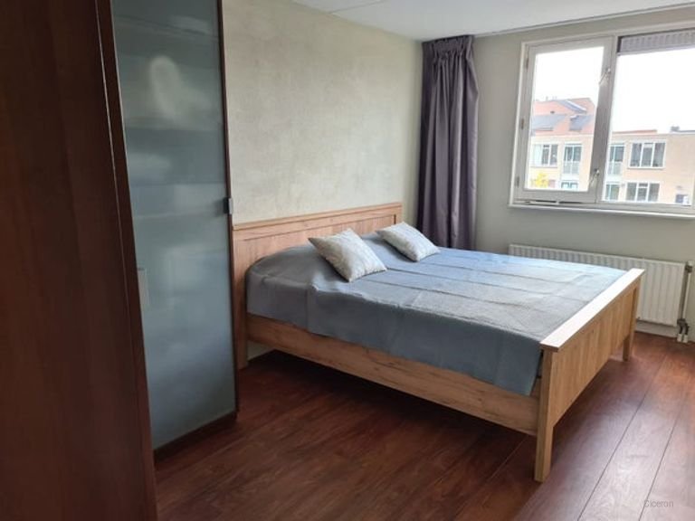 Living on the Houtmarkt with a balcony - Image 10