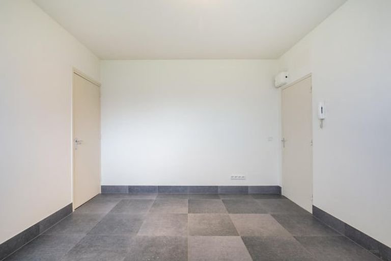 Bright basement apartment on the Groene Loper - Image 10