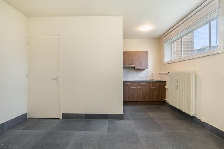 Bright basement apartment on the Groene Loper - Image 3