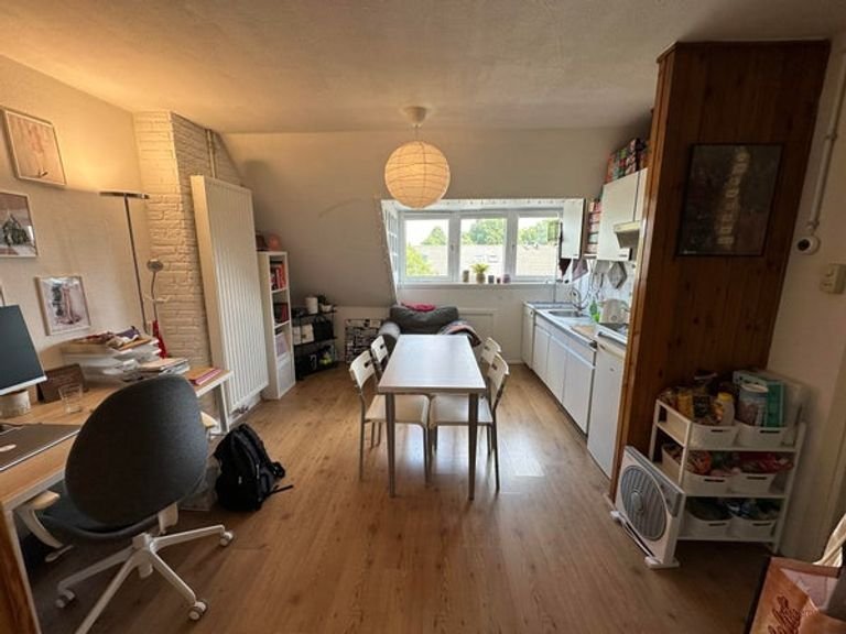 Studio met uitzicht op de Maas - Afbeelding 3