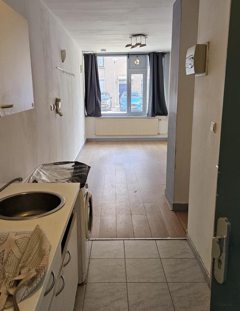 Studio aan de Wittevrouwensingel - Afbeelding 2
