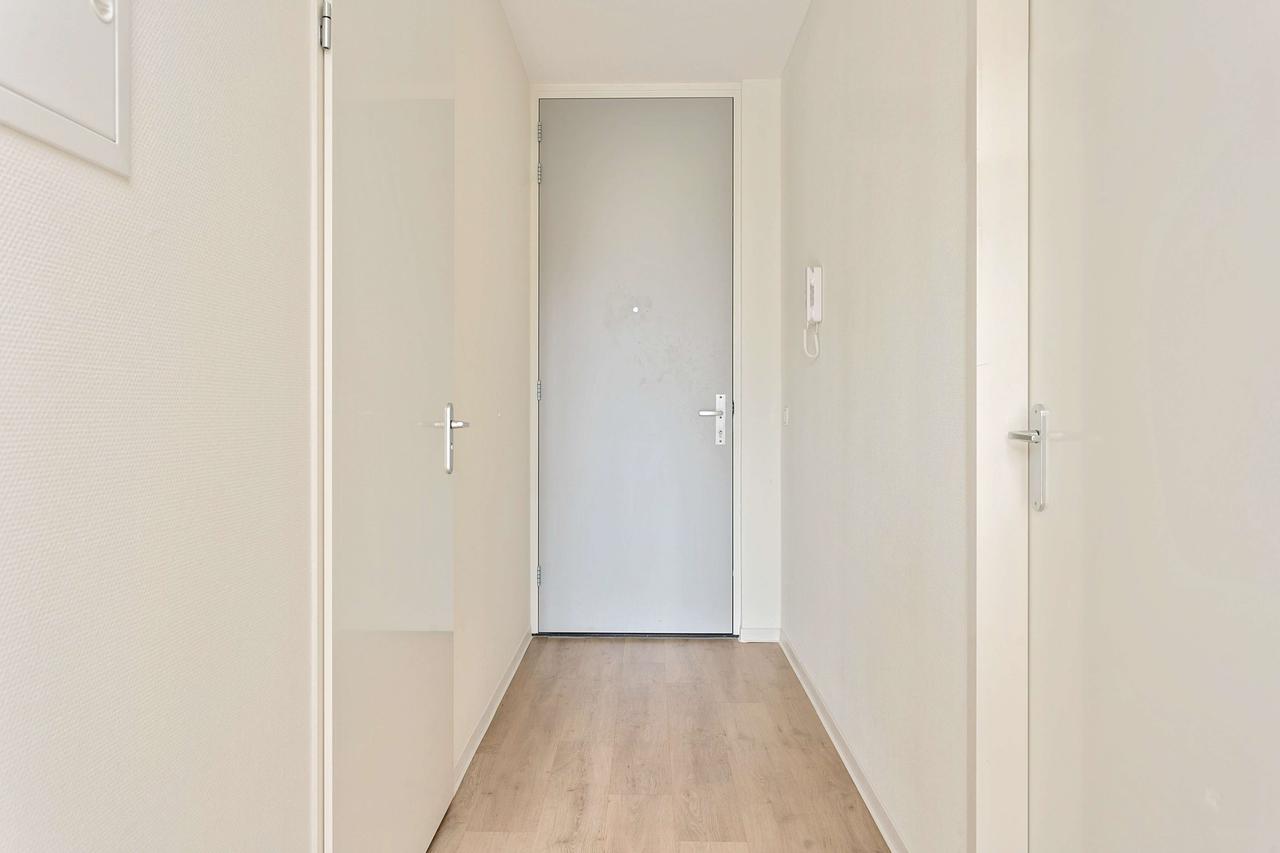 Bright Studio in Rapelenburg for €1125 - Image 2