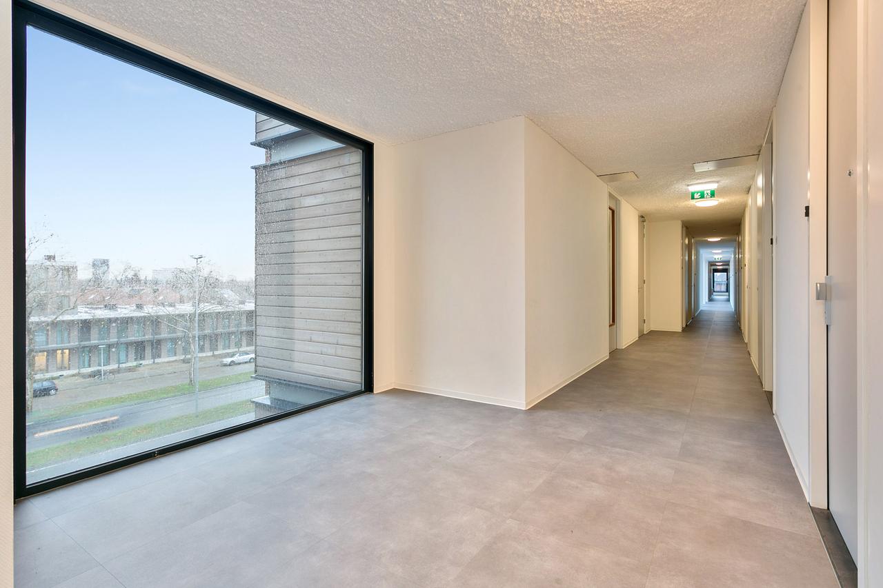 Bright Studio in Rapelenburg for €1125 - Image 13