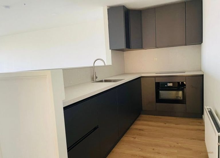 Gerenoveerd appartement met Maas-uitzicht - Afbeelding 8
