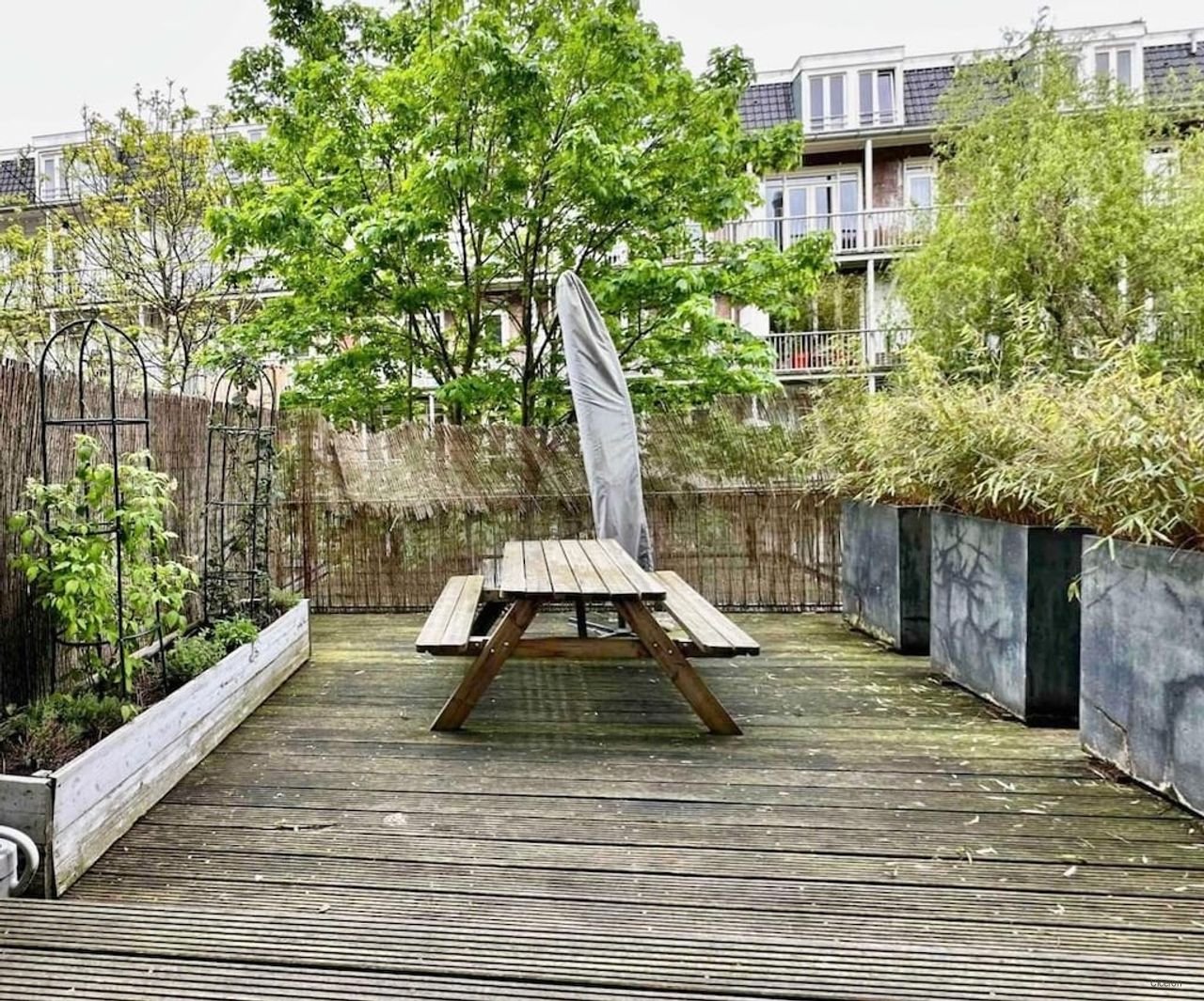 Living on Javastraat with terrace - Image 8