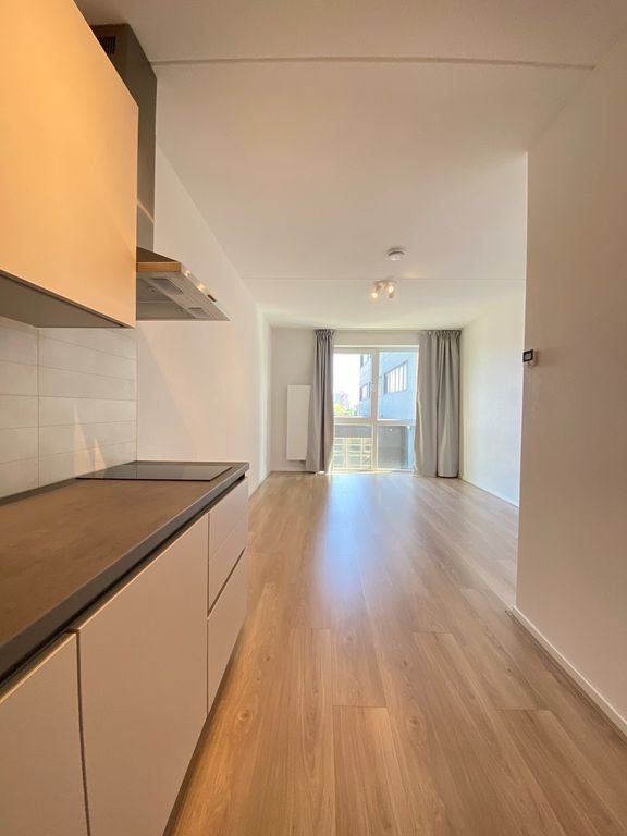 Modern studio in the GO070 complex - Image 5