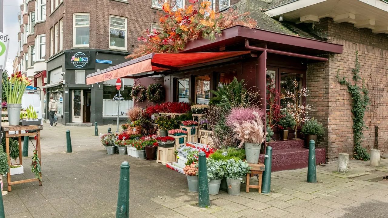 Spacious 6-room apartment in the Oude Noorden - Image 23