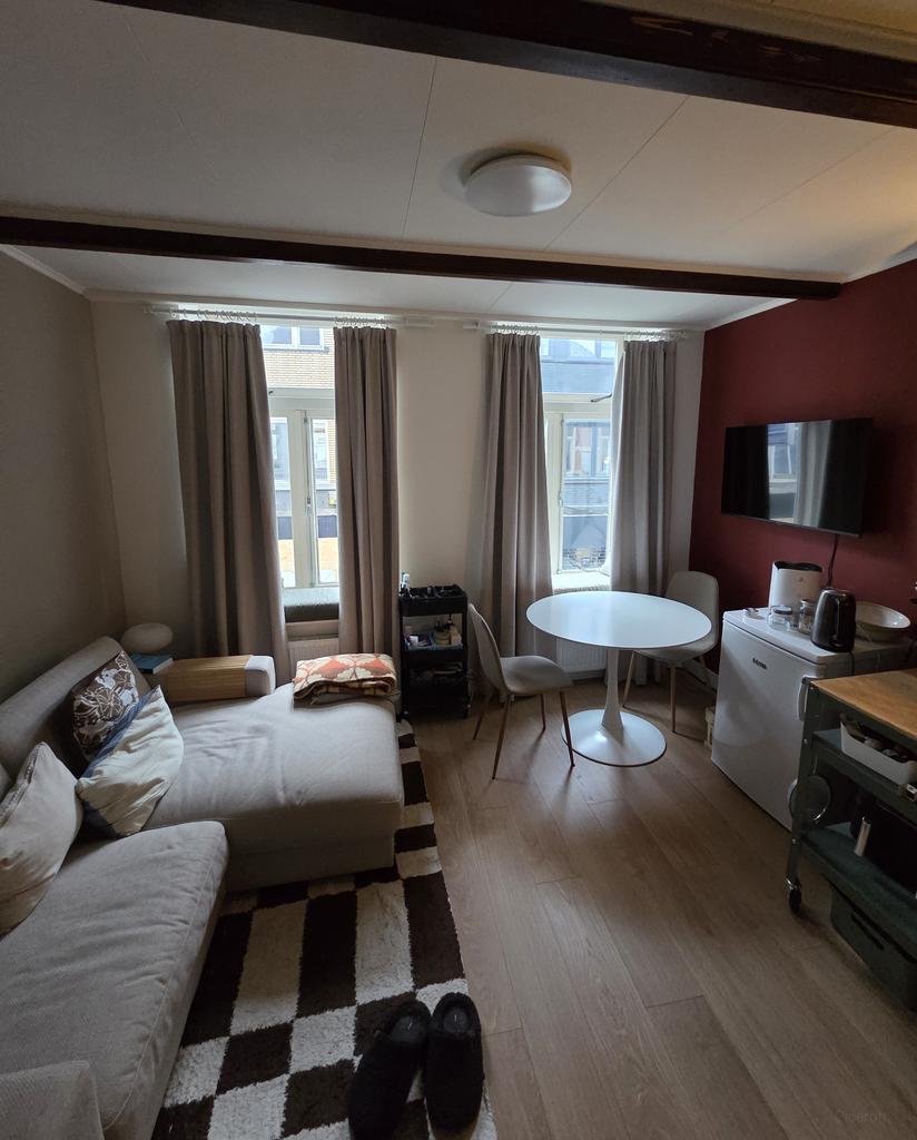 Studio van 26m2 met dakterras in hartje Breda - Afbeelding 1