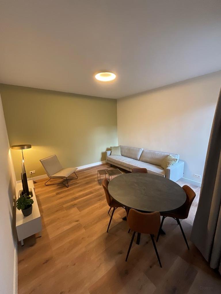 Furnished 3-Room Apartment with Terrace - Image 3