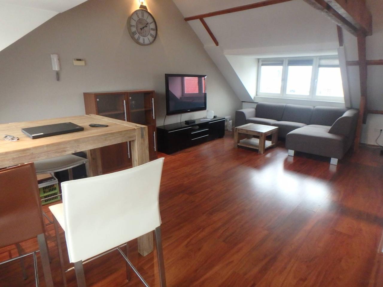 Furnished apartment with roof terrace - Image 3