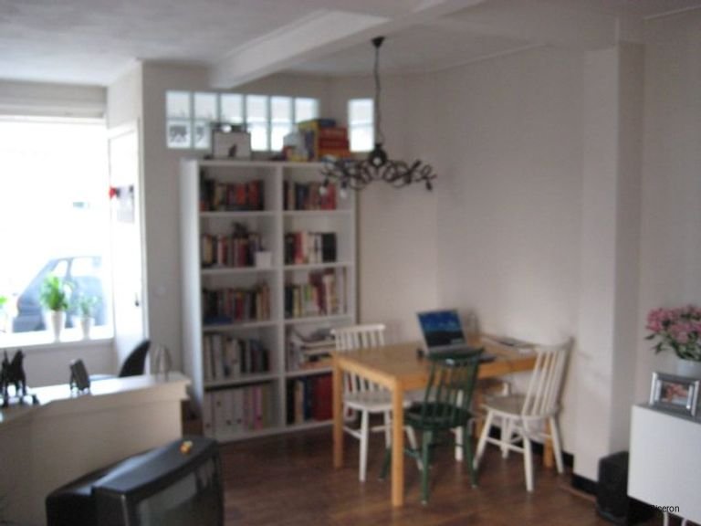 Gemeubileerd appartement in de Gildebuurt - Afbeelding 2