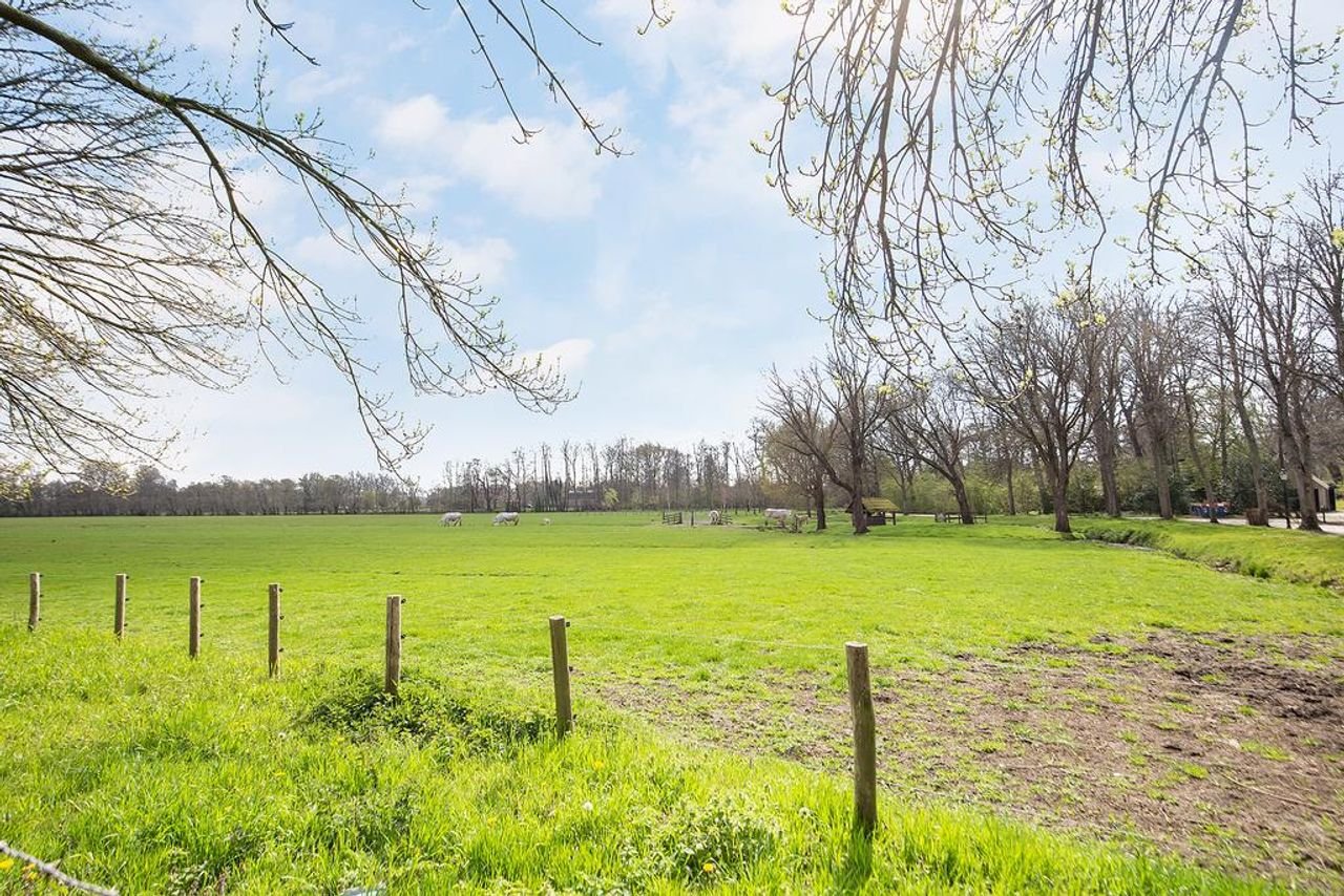 Ground floor apartment with front and back garden - Image 29