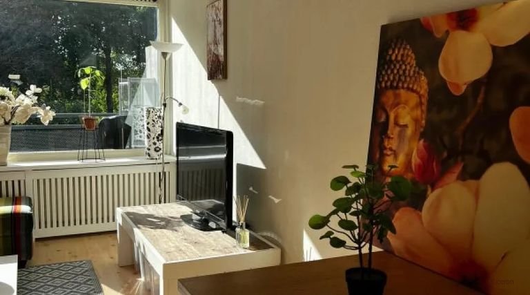 Gemeubileerd huis met tuin in Landgoederenbuurt - Afbeelding 5