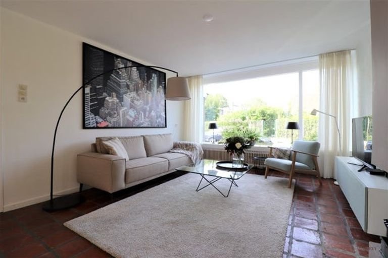 Duurzaam huis met tuin in Het Lage Land - Afbeelding 3