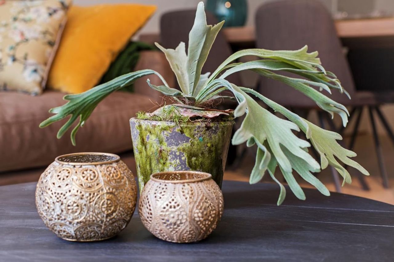 Modern wonen in middeleeuws pakhuis - Afbeelding 11