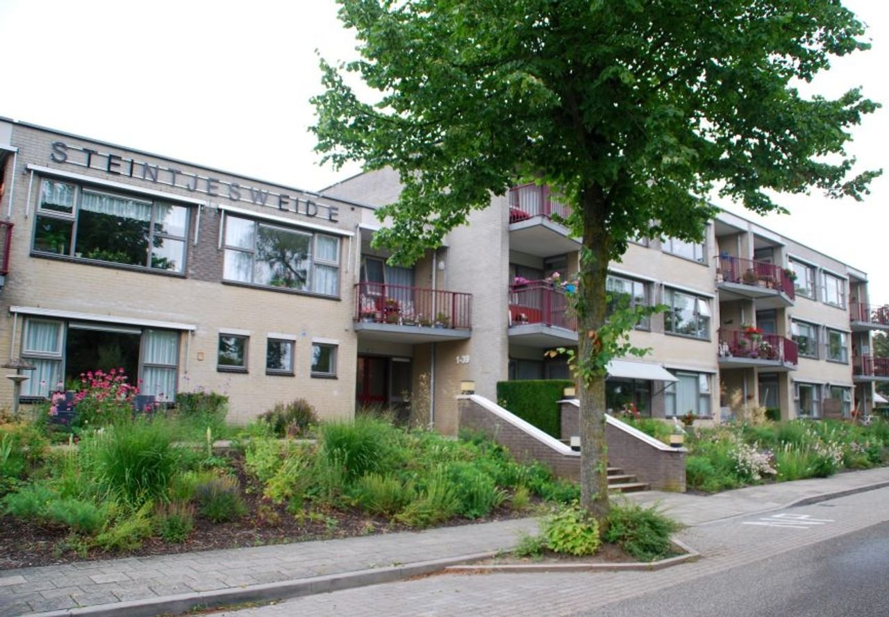 Gelijkvloers wonen met zonnig terras - Afbeelding 1