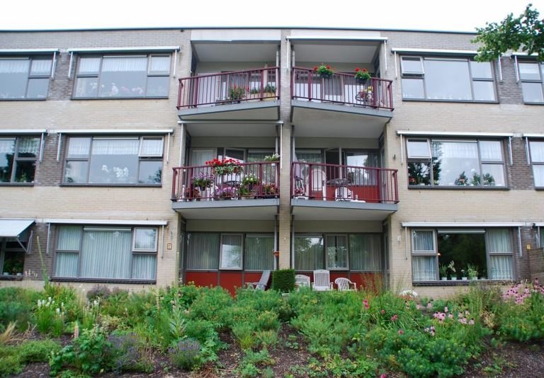 Gelijkvloers wonen met zonnig terras - Afbeelding 4