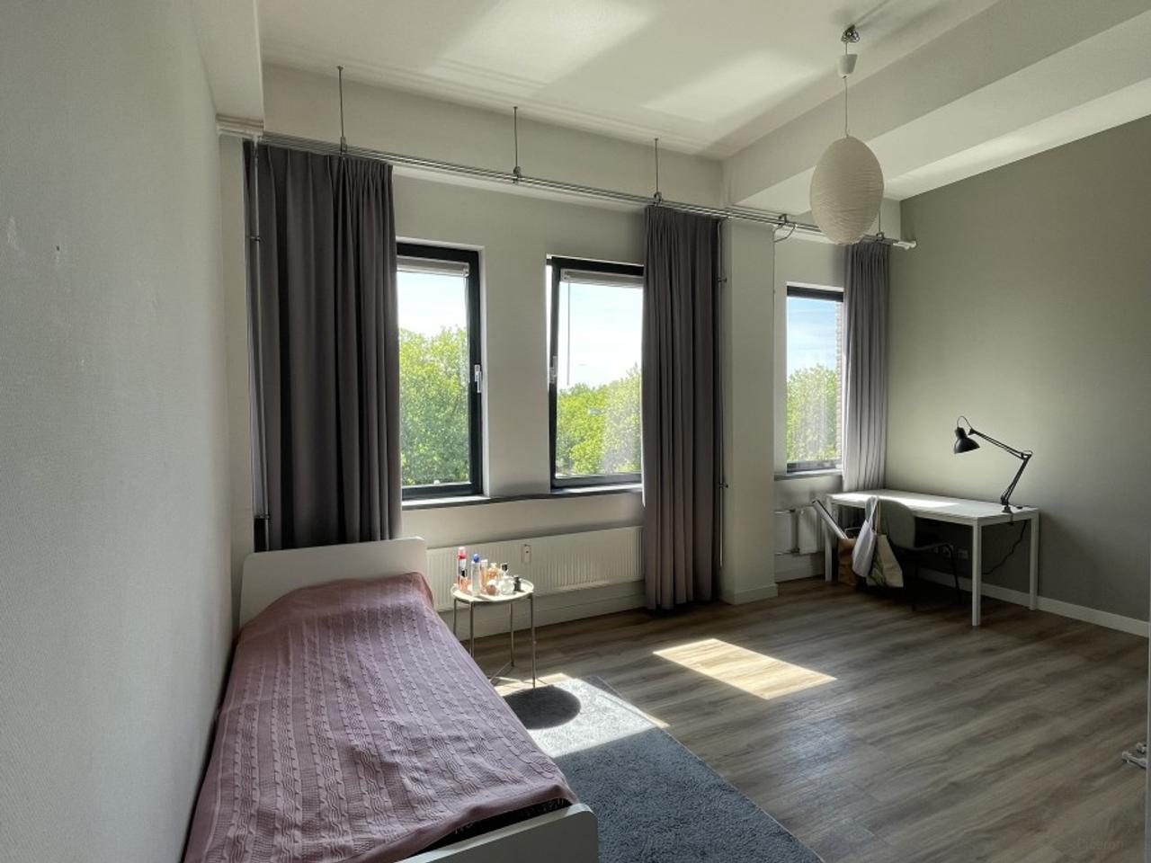 Bright studio with roof terrace in Apeldoorn - Image 3