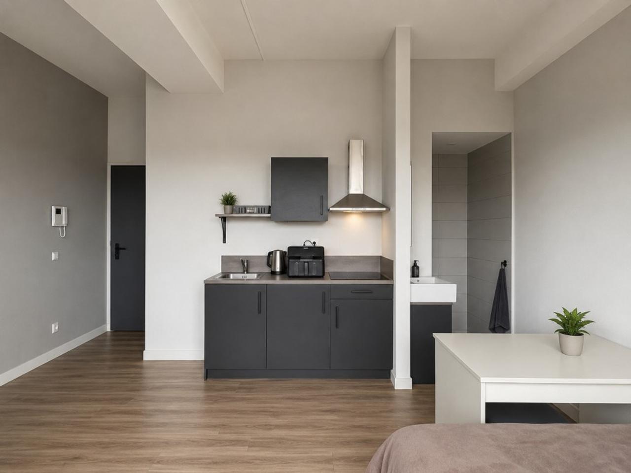 Studentenstudio met dakterras in Apeldoorn - Afbeelding 3