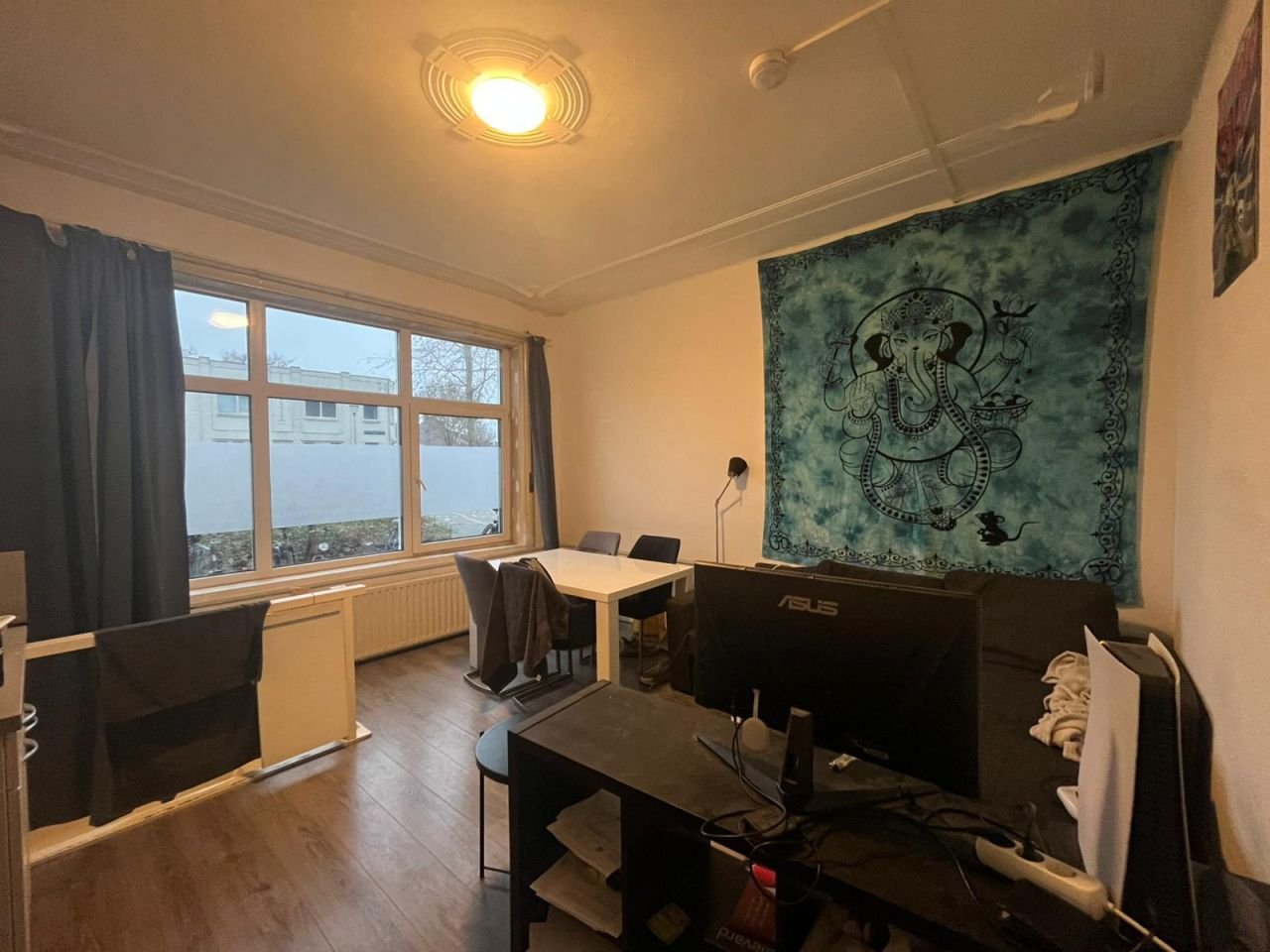 Grote studentenkamer (29 m²) aan de Trouwlaan - Afbeelding 1