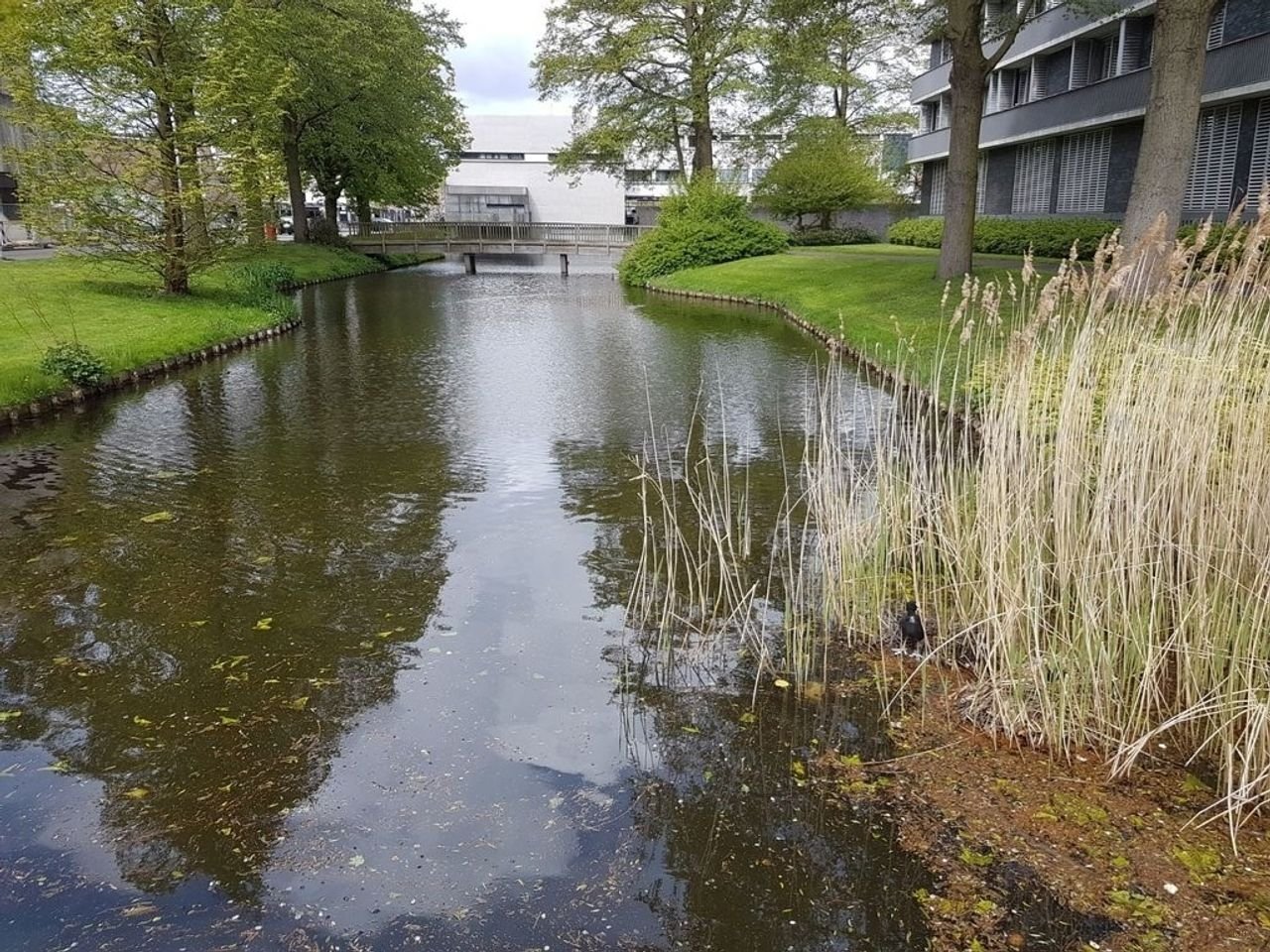 Bright corner apartment with parking - Image 26