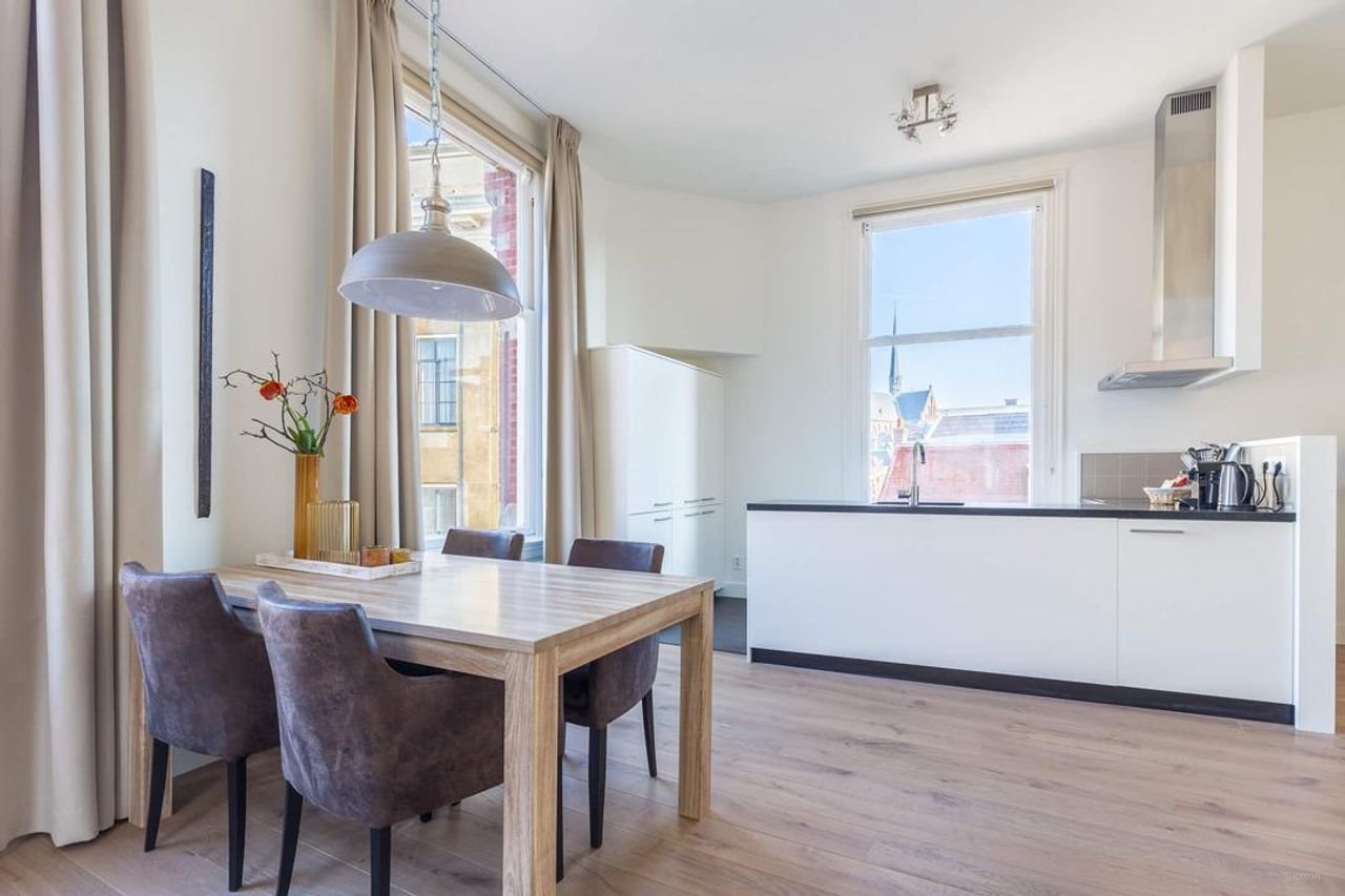 Gerenoveerd appartement met Domzicht - Afbeelding 10