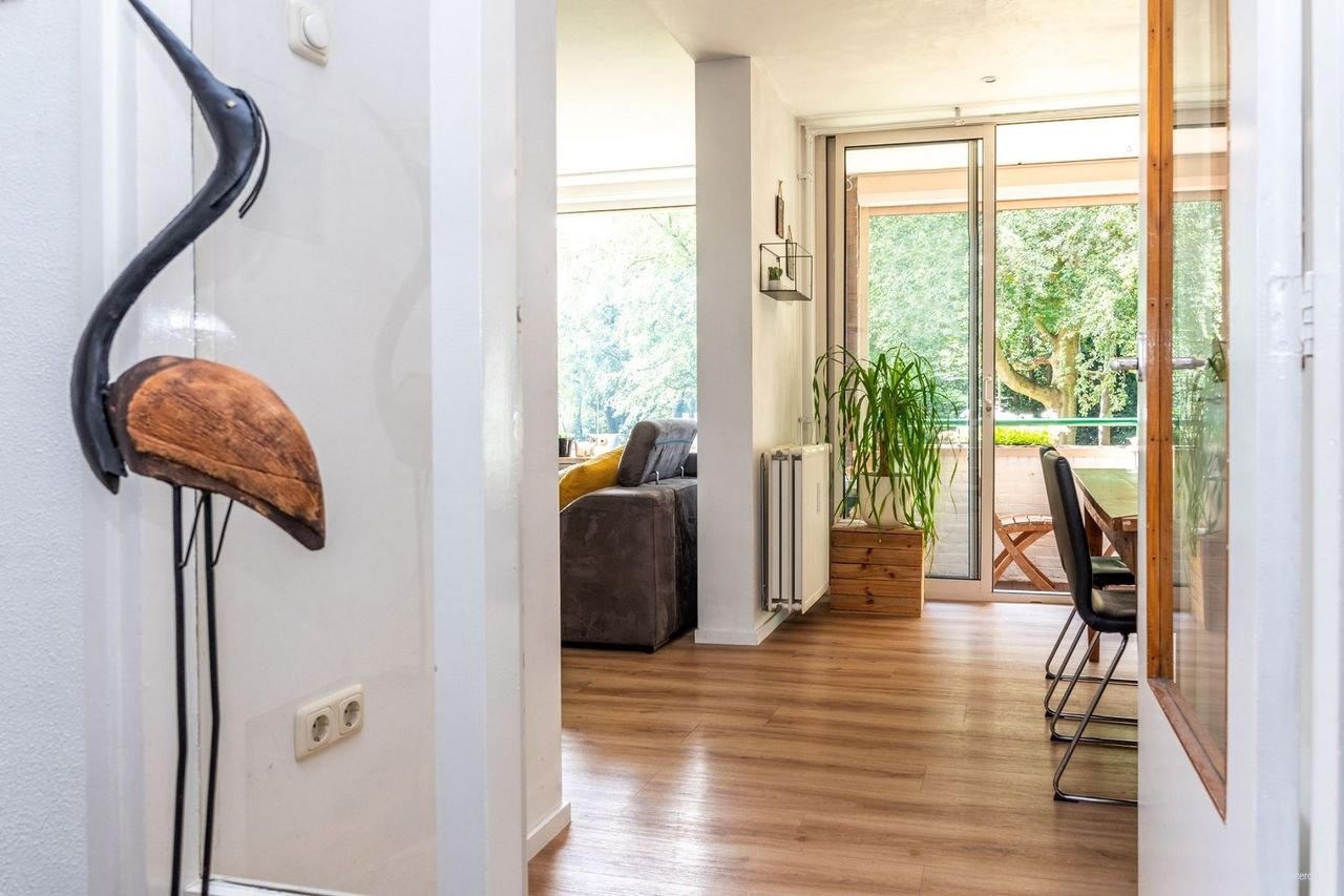 Sunny 2-bedroom apartment in Hazenkamp - Image 4